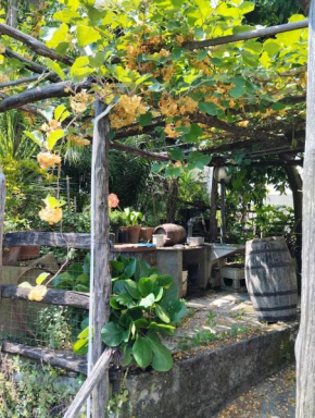 Casa indipendente silenziosa, super relax nel verde a pochi minuti dal mare